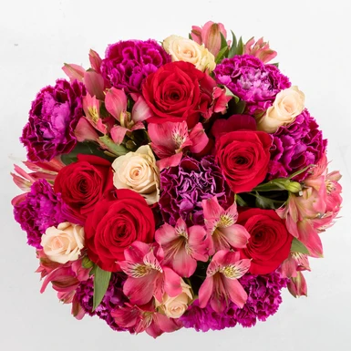 Ramo de Rosas Rojas y Claveles 5814