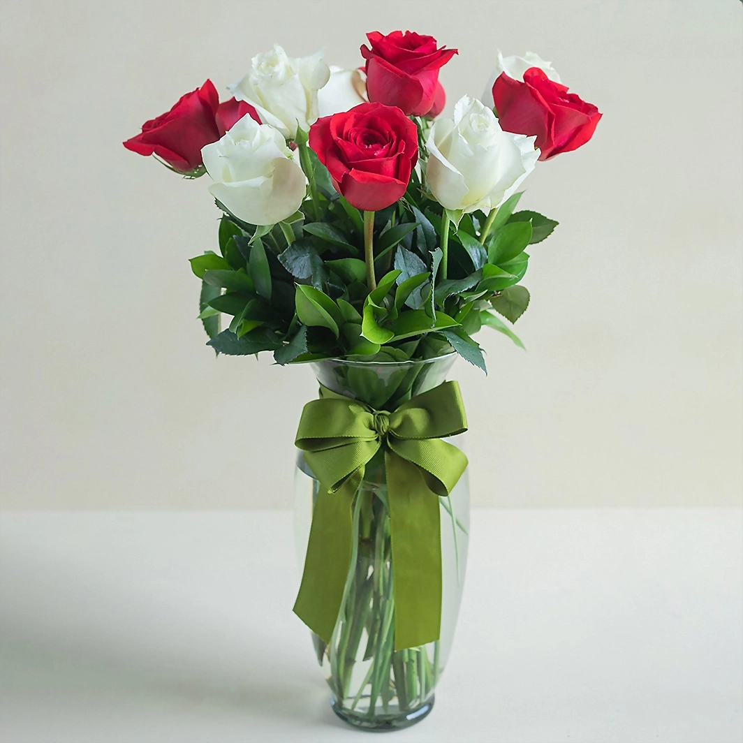 12 Rosas Radiantes 148