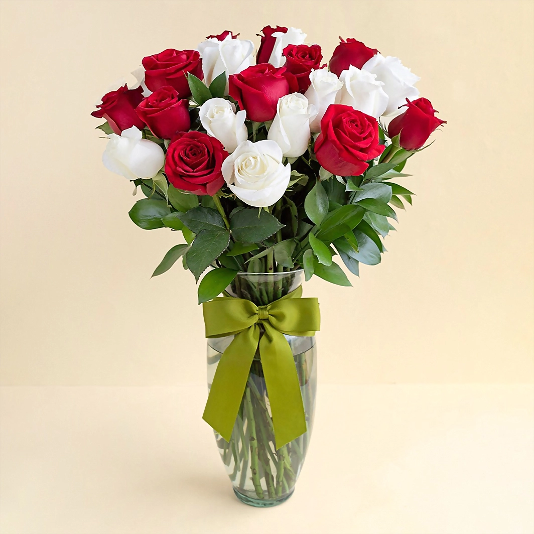 24 Radiant Roses 149