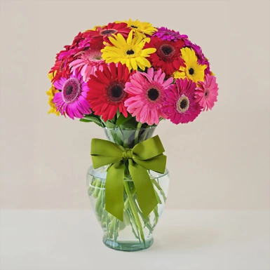 30 Gerberas Coloridas 6189