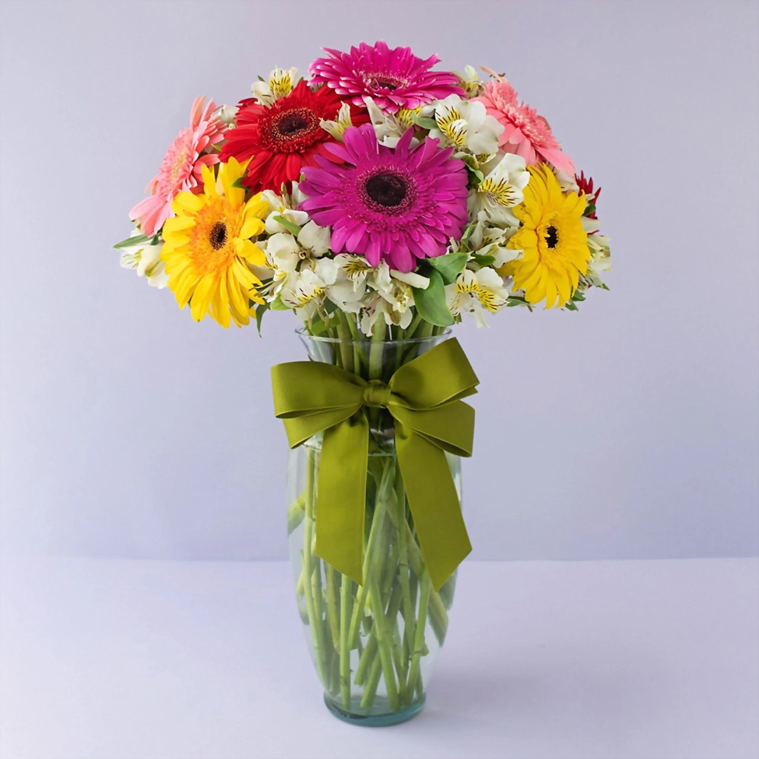 10 colorful gerberas in vase 6192
