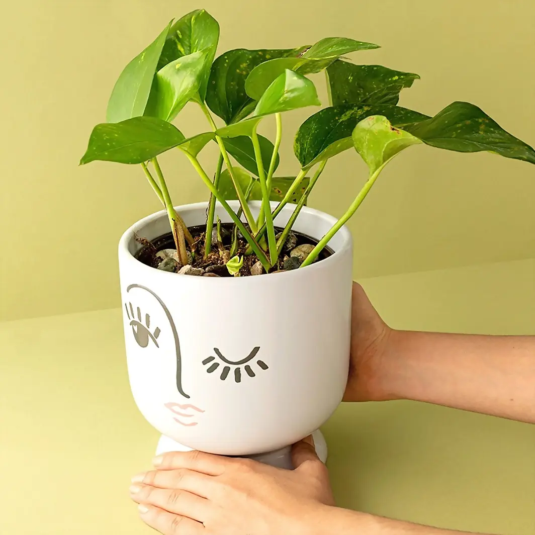 Strength plant on ceramic base 6355