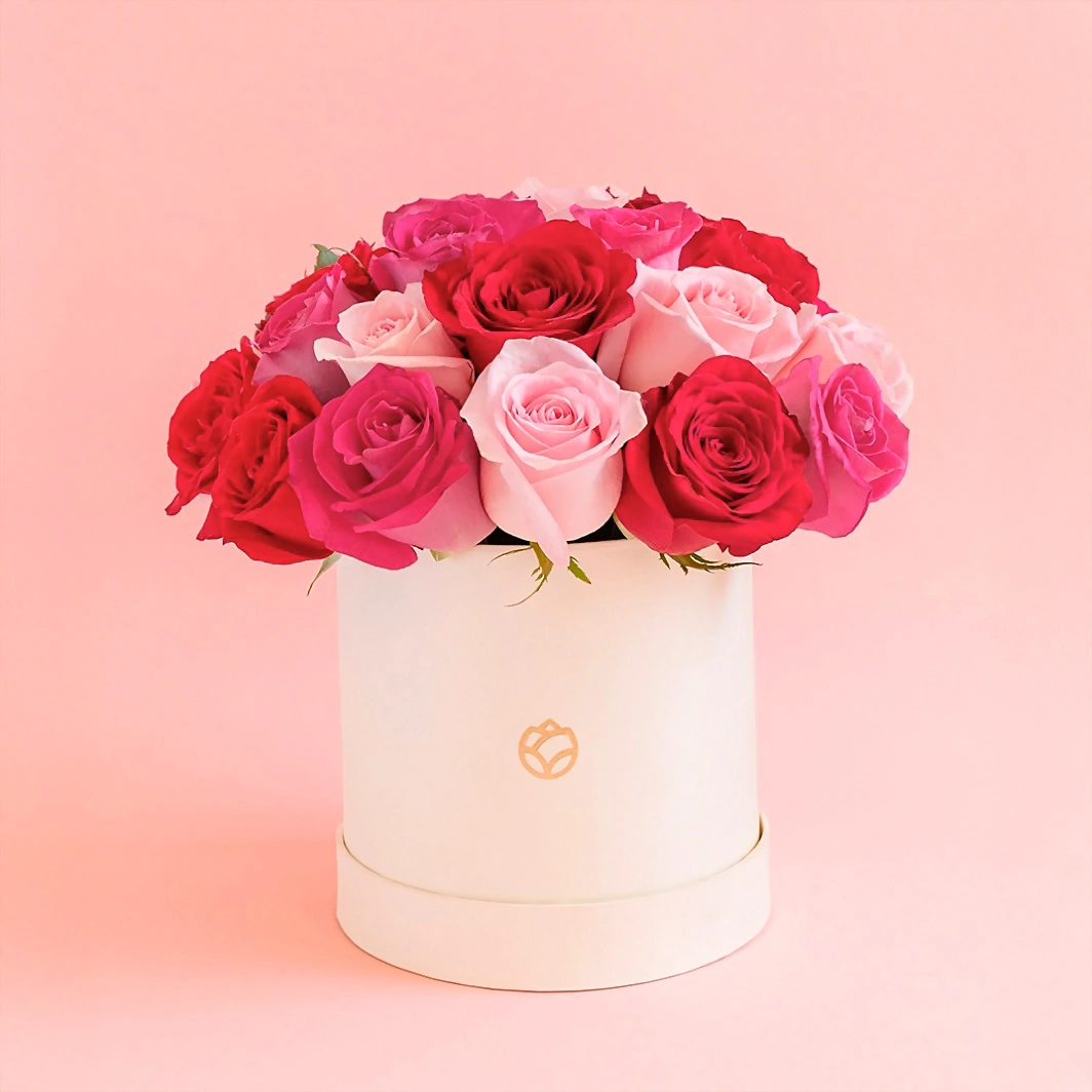 24 colored roses 7206