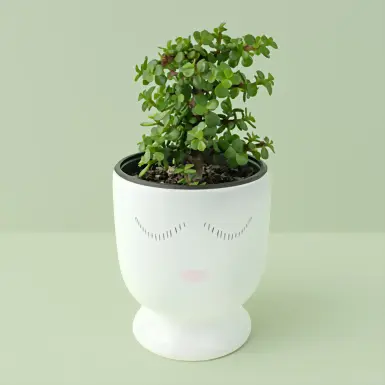 Abundance tree on ceramic base 8024