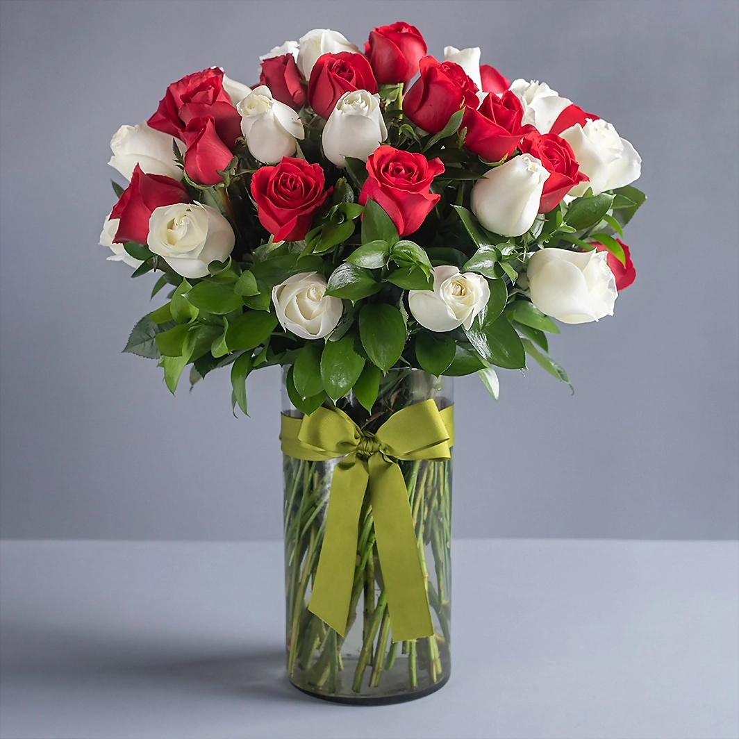 50 Rosas Radiantes 060