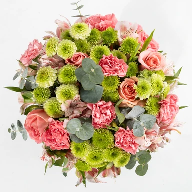 Ramo con Rosas Rosa Claro y Margaritas 3697-A