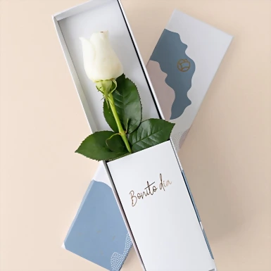 Rosa blanca en caja julieta 9894
