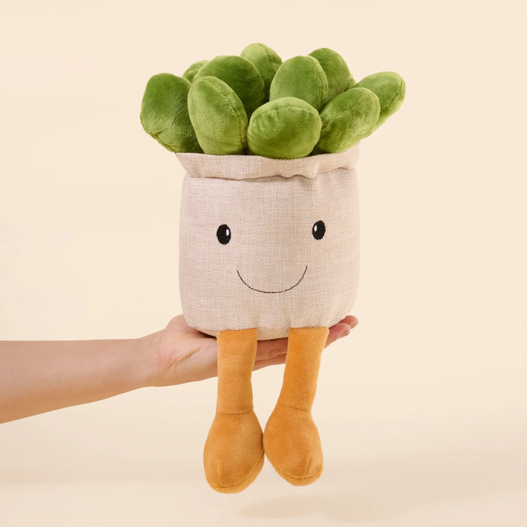"Sucu" Suculento Peluche 10404